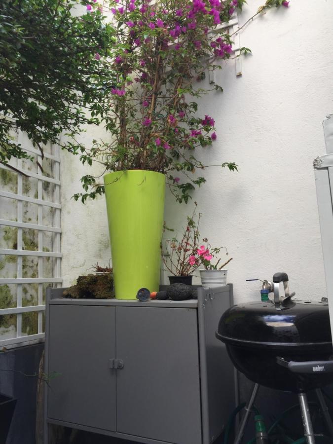 Bed and Breakfast Casa Physalis Ponta Delgada Exterior foto